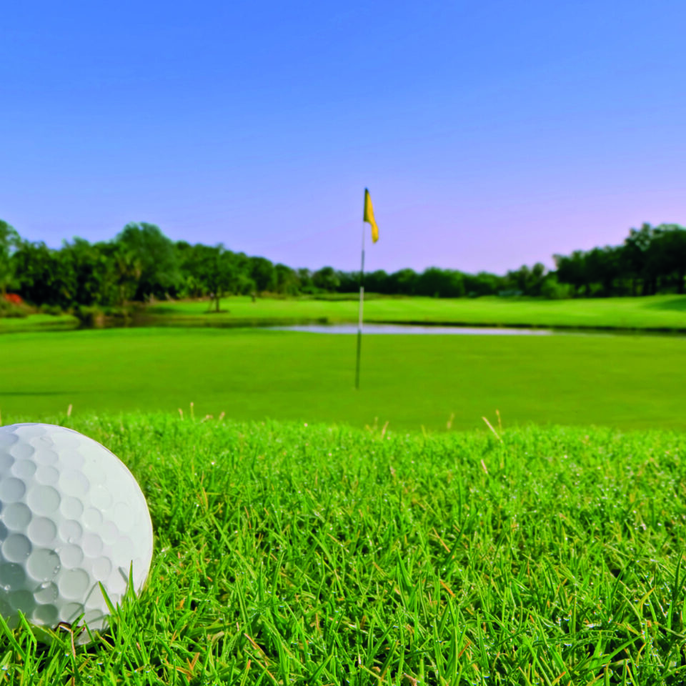GolfbaanHotelMijdrecht